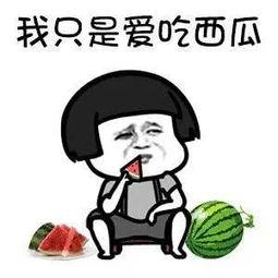 吃娱乐圈的瓜说明什么,娱乐圈瓜中折射的娱乐圈生态